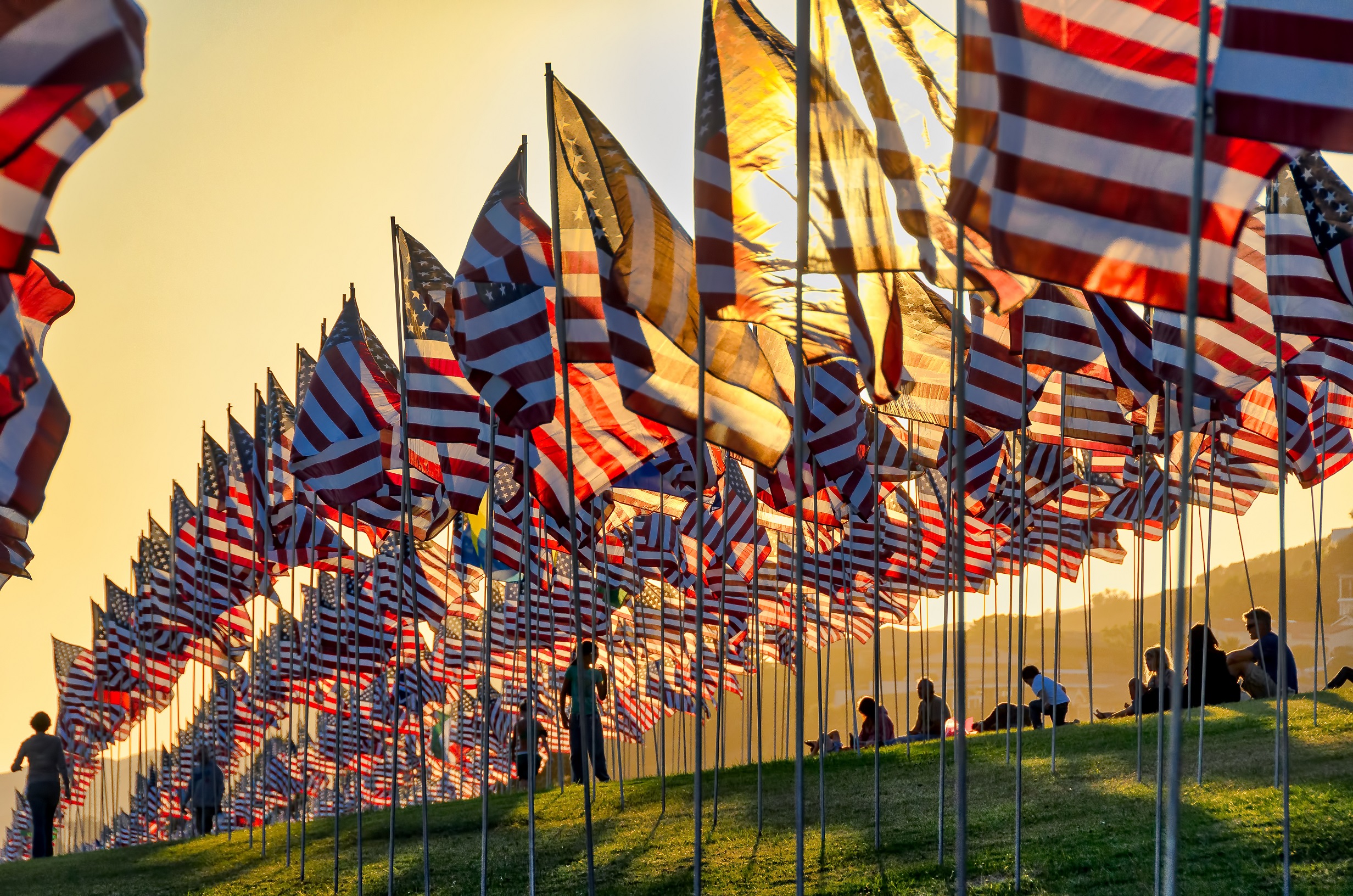 US flags