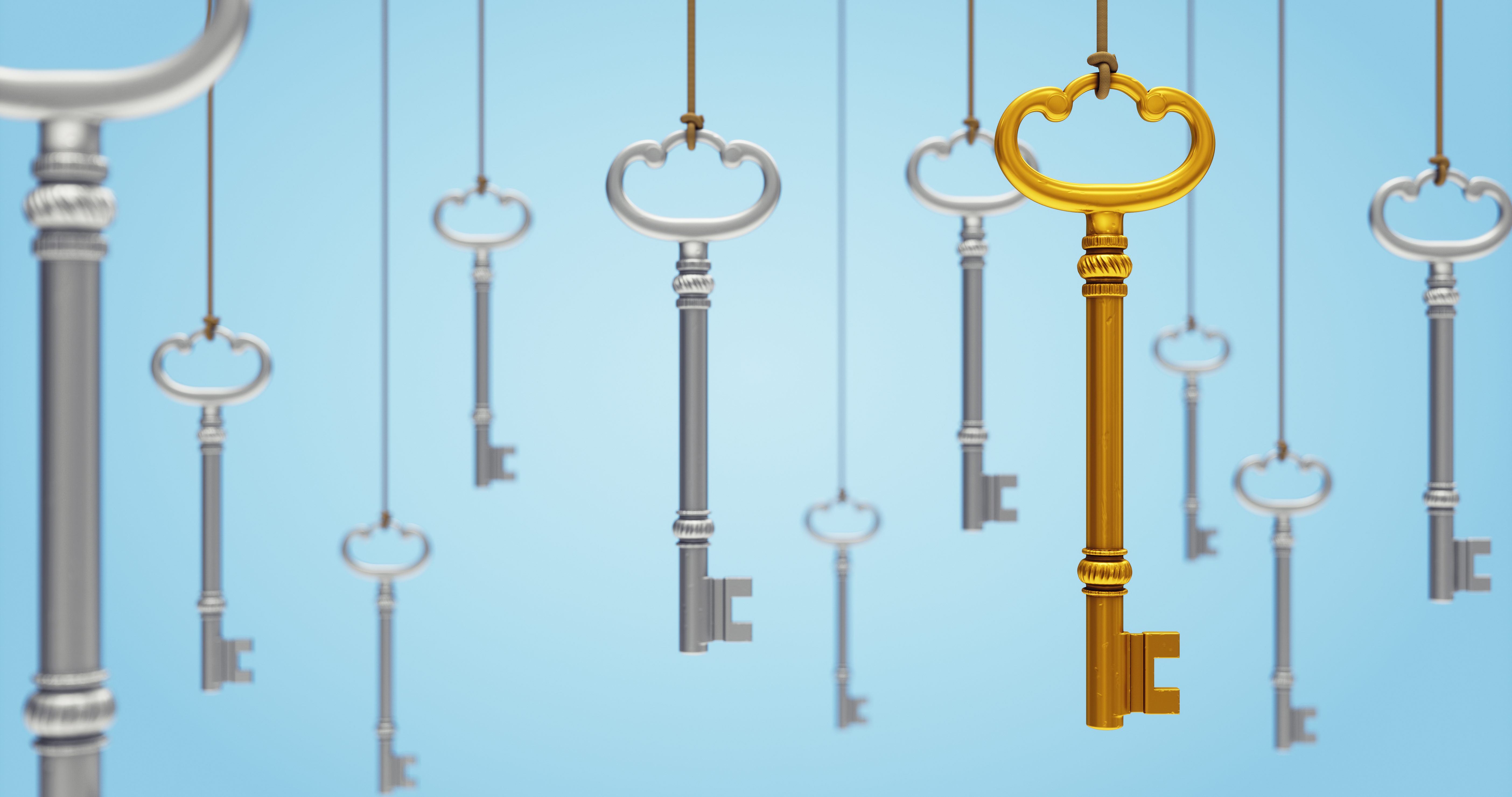 meaning of distinctiveness in english